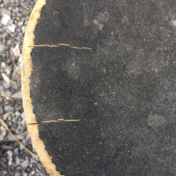 Gotcha Skateboard - Picture 4 of 4